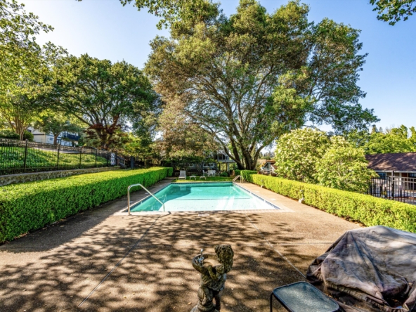 Outdoor swimming pool surrounded by trimmed hedges and tall trees under a clear blue sky.
