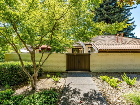 Front yard of a suburban house with a dark brown gate, beige brick wall, and a large leafy tree casting shade over a gravel path.